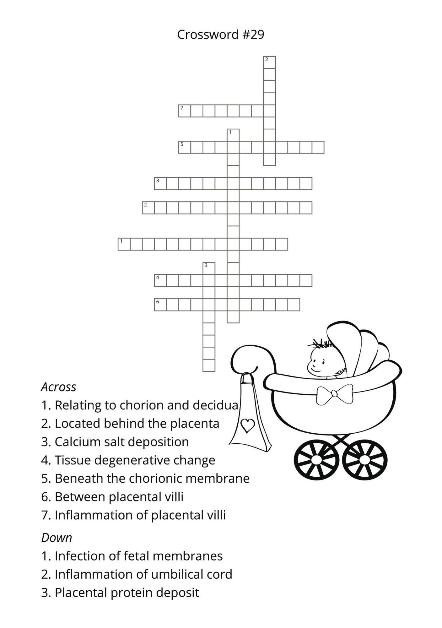 2. Audra Sinclair: The Nursing and Midwifery Crosswords