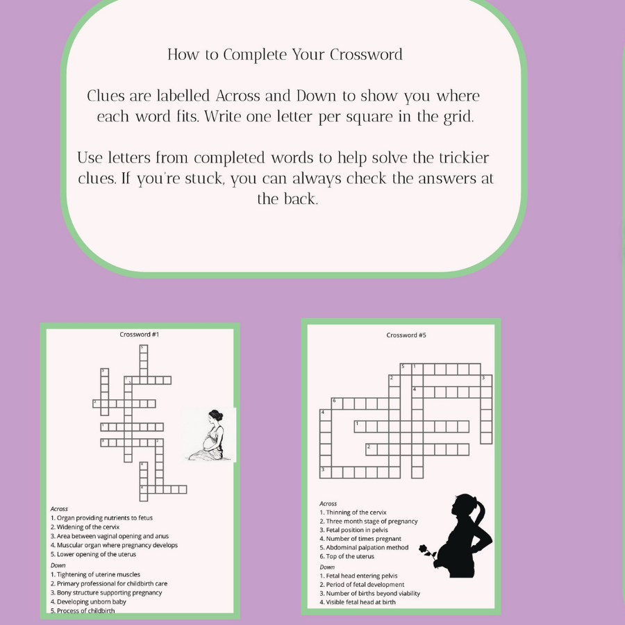 2. Audra Sinclair: The Nursing and Midwifery Crosswords