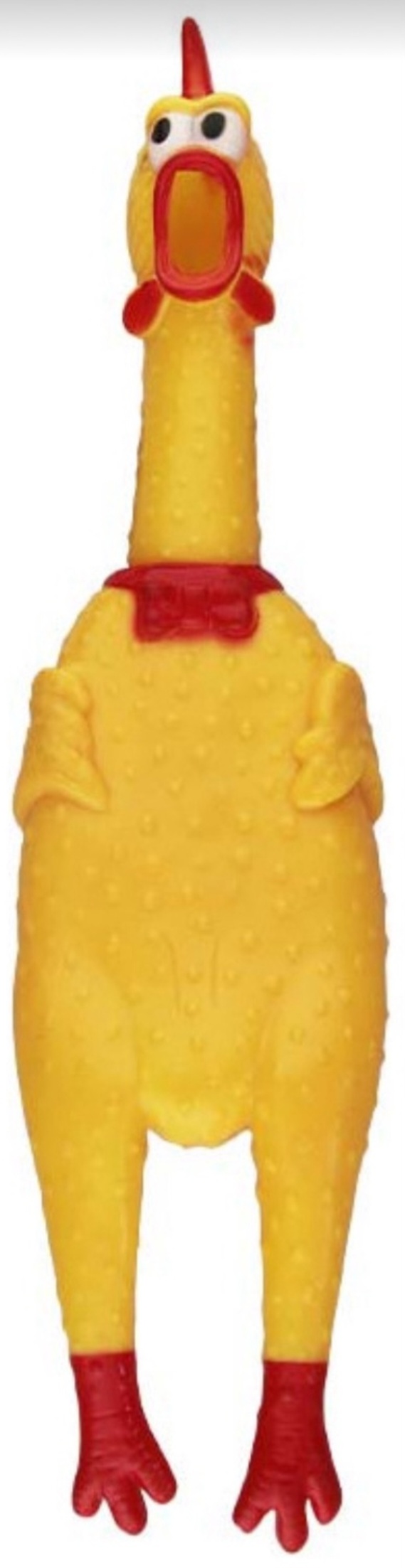 Frango Brinquedo Pet Borracha 36cm