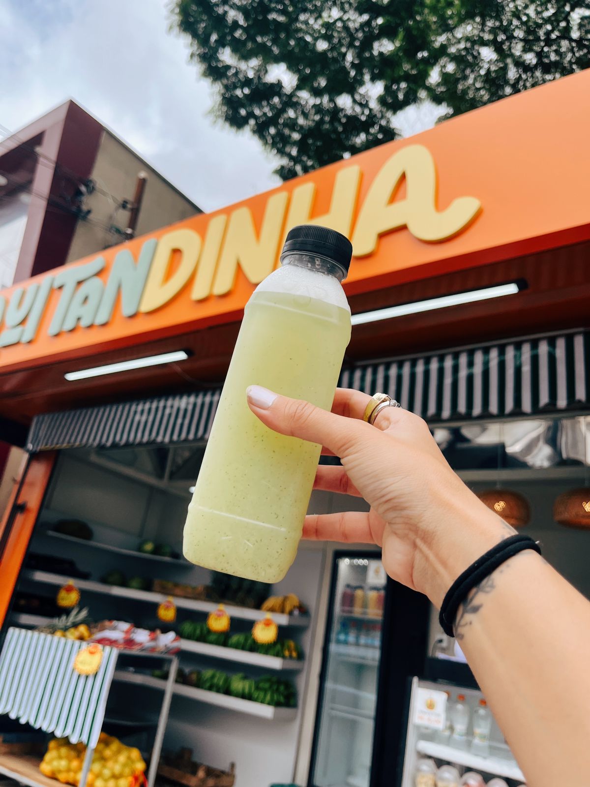 SUCO - ABACAXI C/ HORTELÃ 500ML