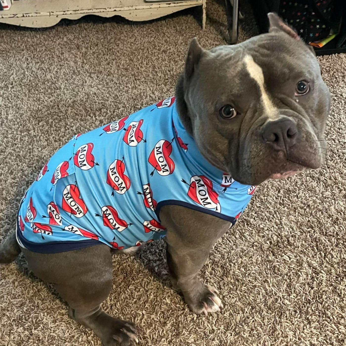 Pittie Clothing Pit Bull Muscle Tee