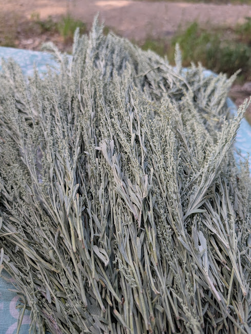 Sage Smudge Sticks