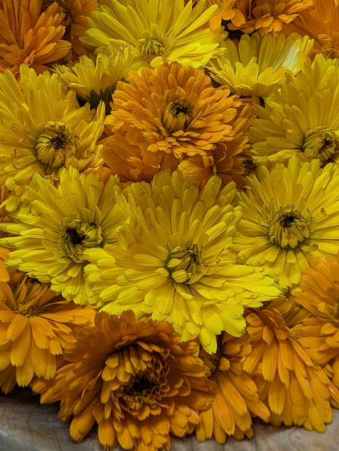 Calendula Herbal Oil