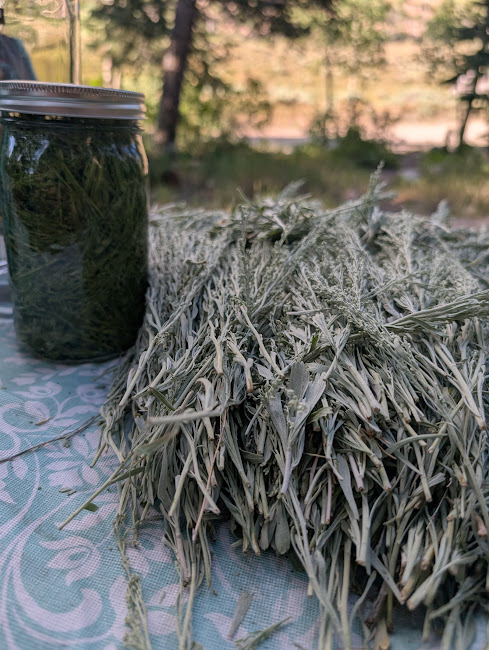 Sage Smudge Sticks