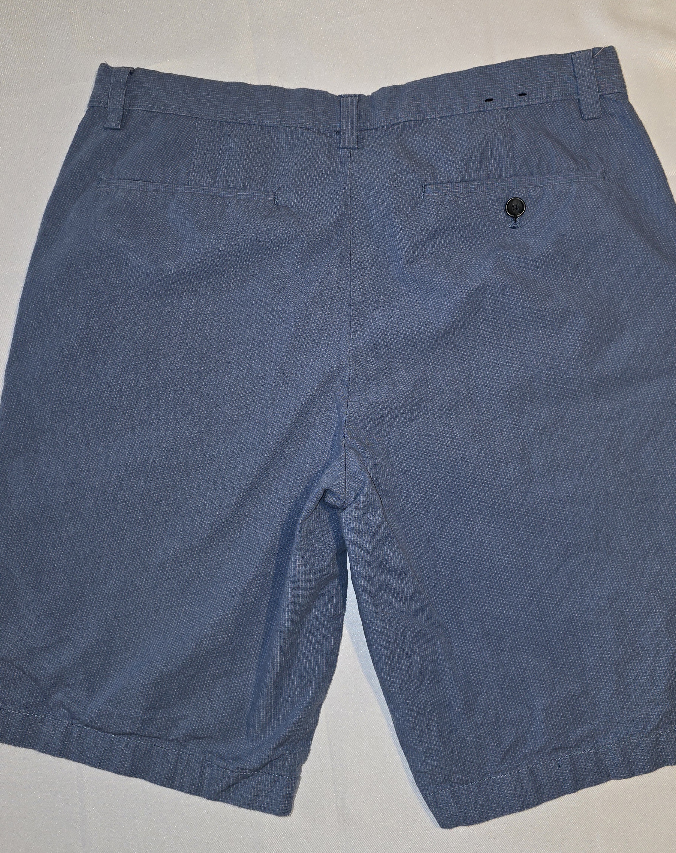 Blue Casual Shorts- Banana Republic