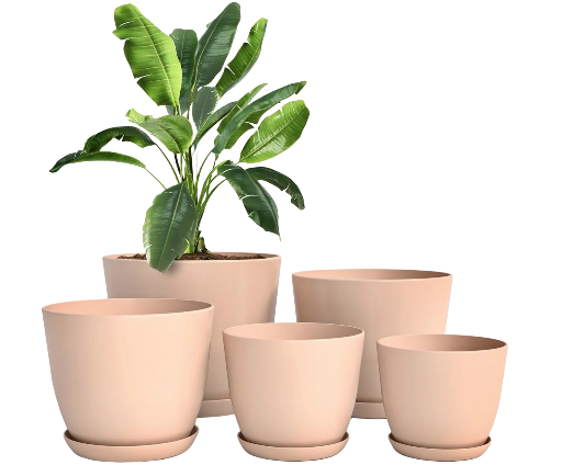 Minimalist Blush Plant Pot Set