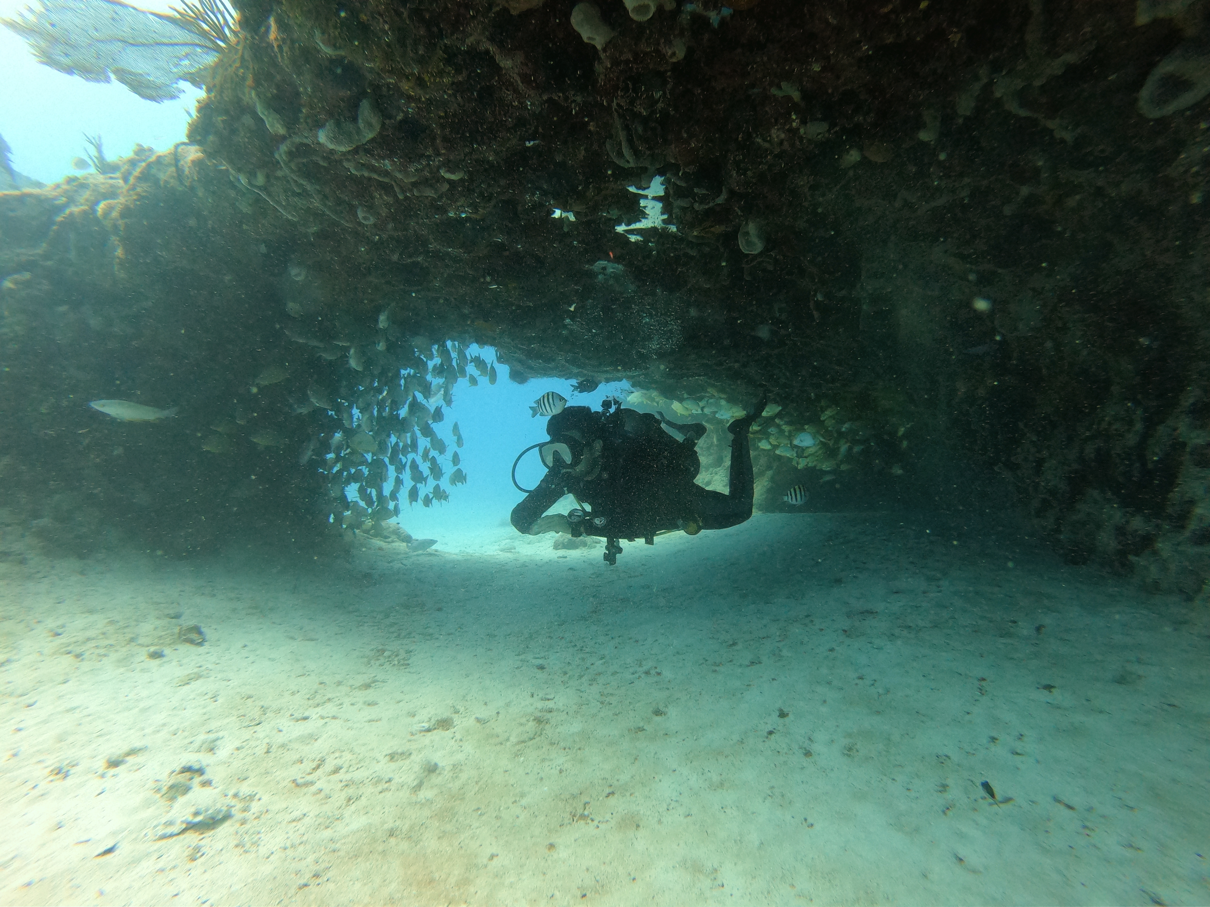 Playa del Carmen: Discover Scuba Diving