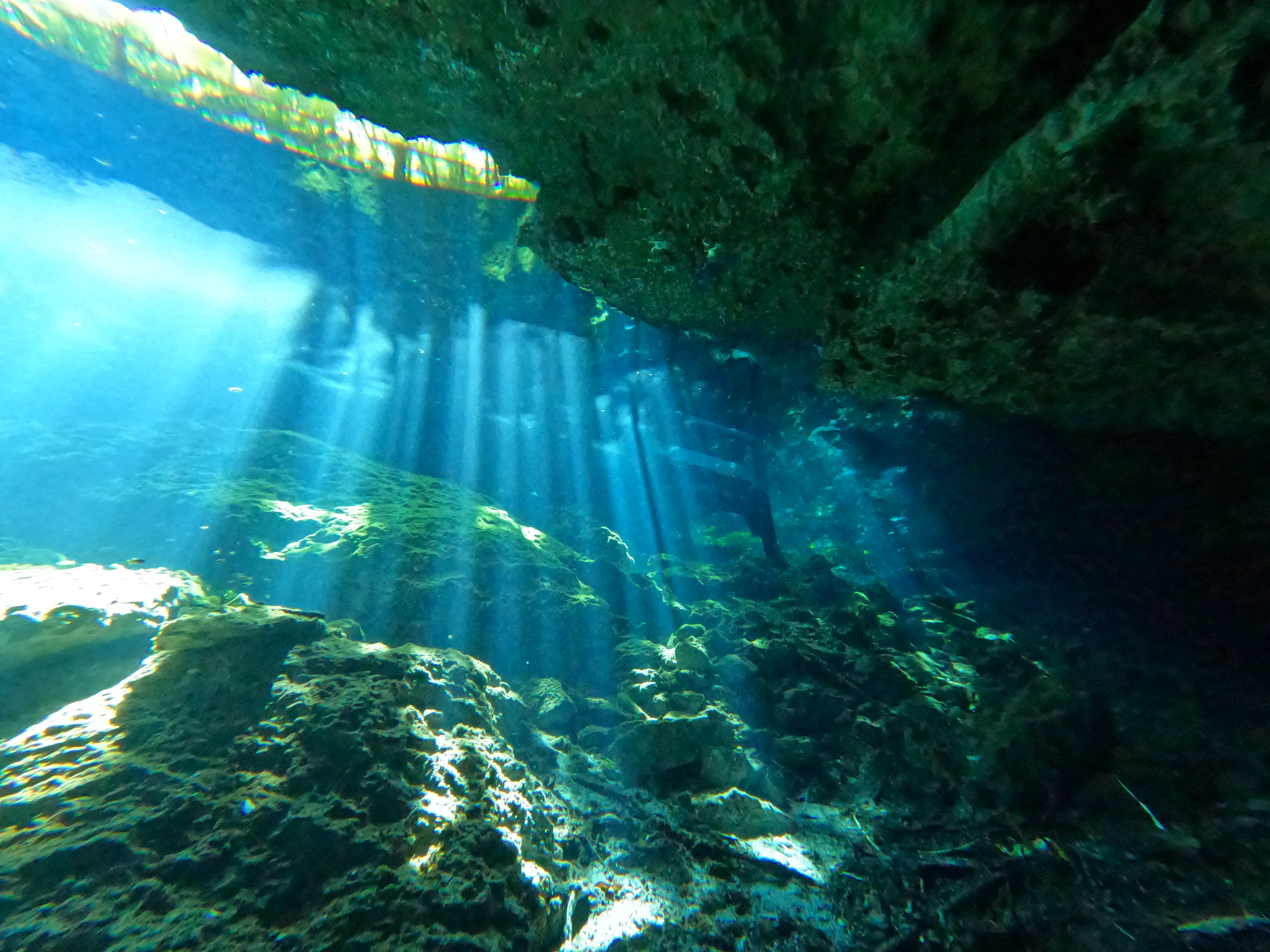 Cenote The Pit - Nic Te Ha