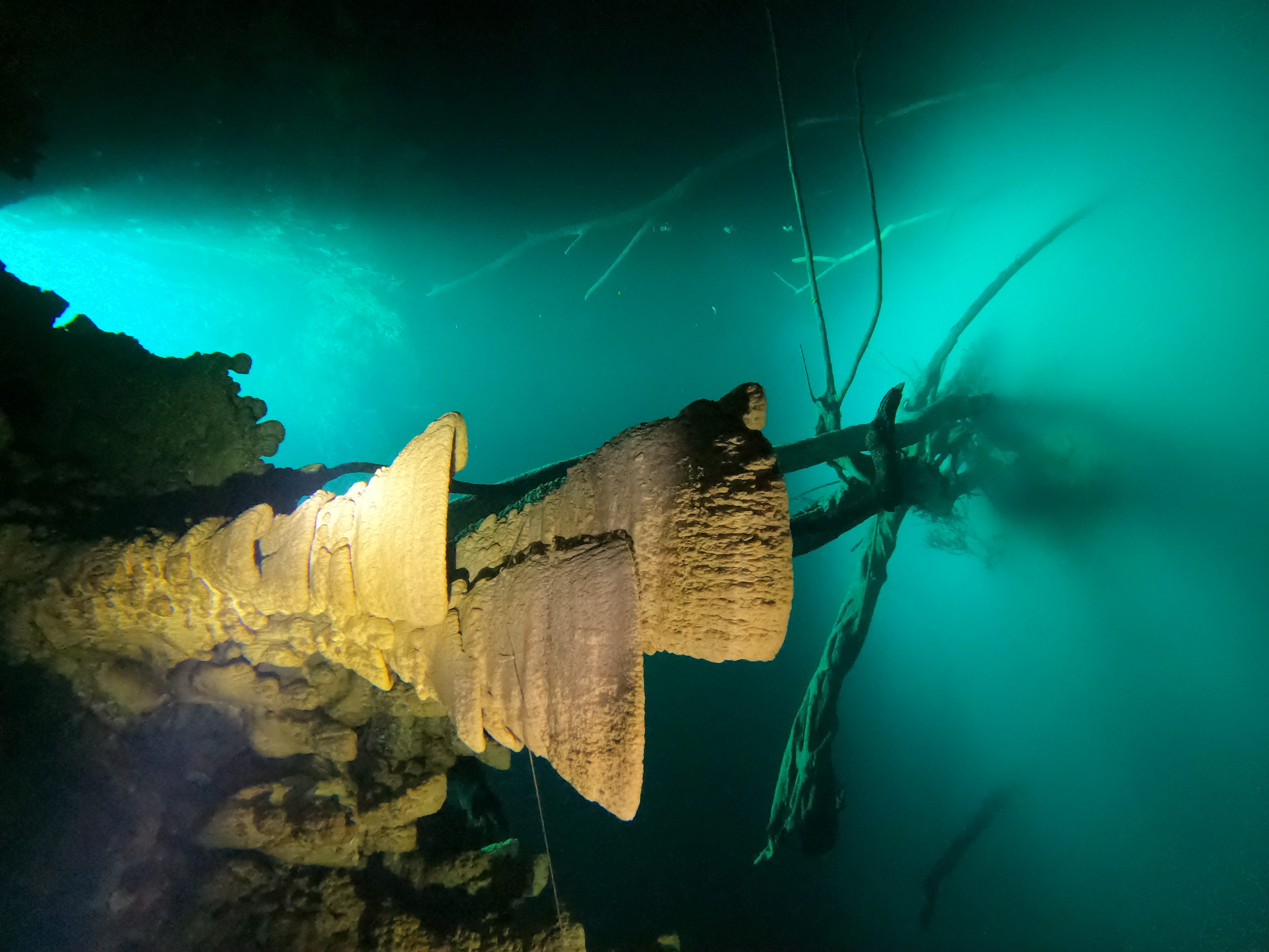 Cenote Azul Ha + Zapote