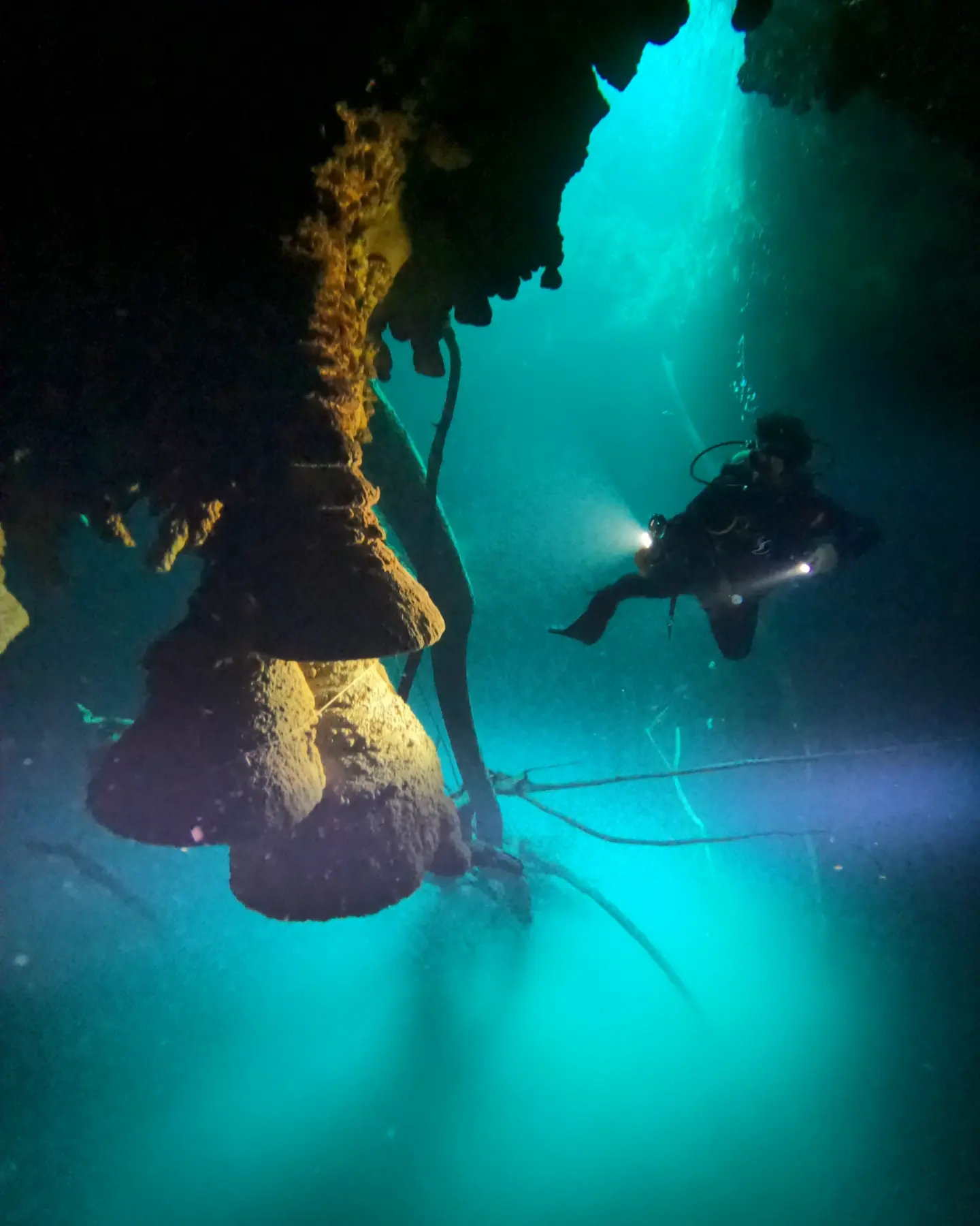 Cenote Kin Ha + Zapote