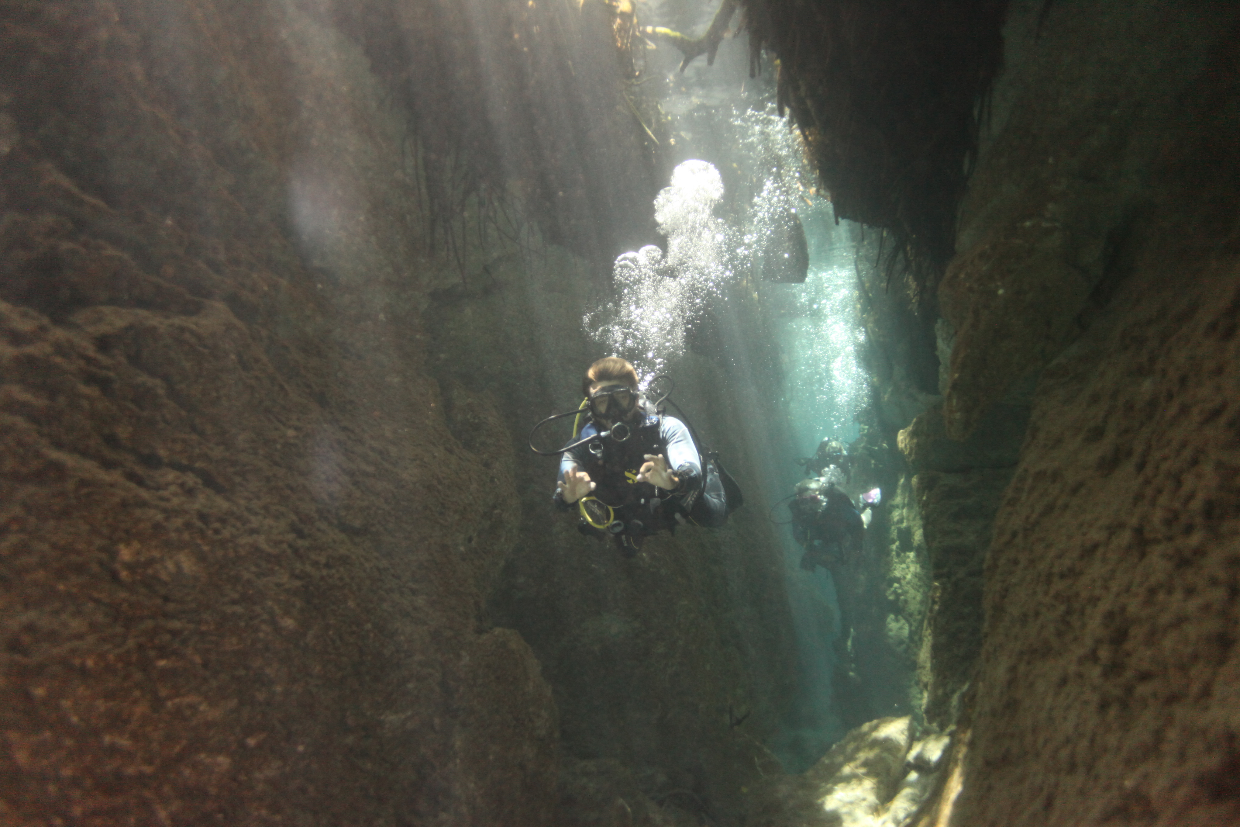 Cenote: Discover Scuba Diving