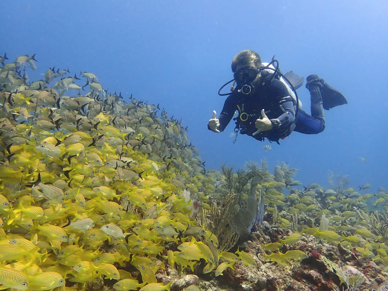 Puerto Morelos: Discover Scuba Diving