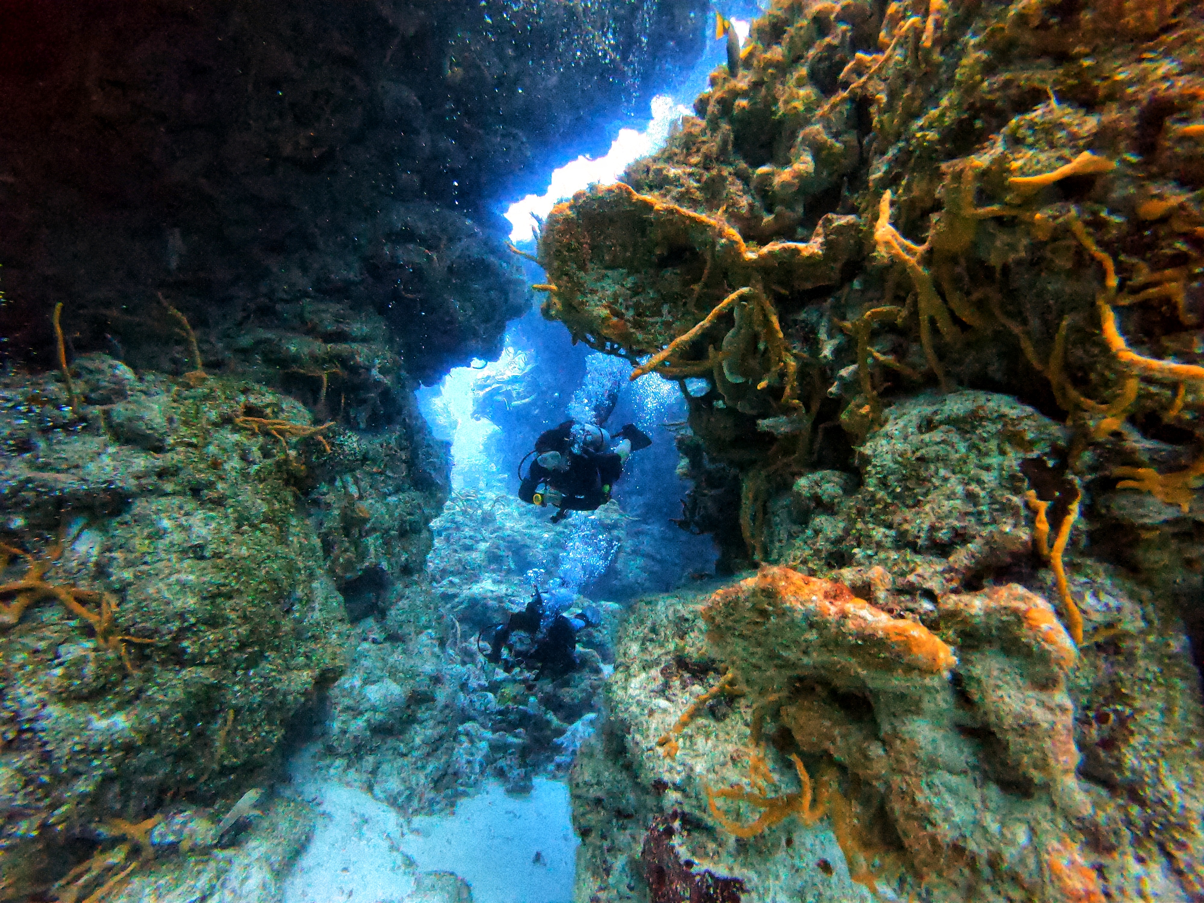 Cozumel