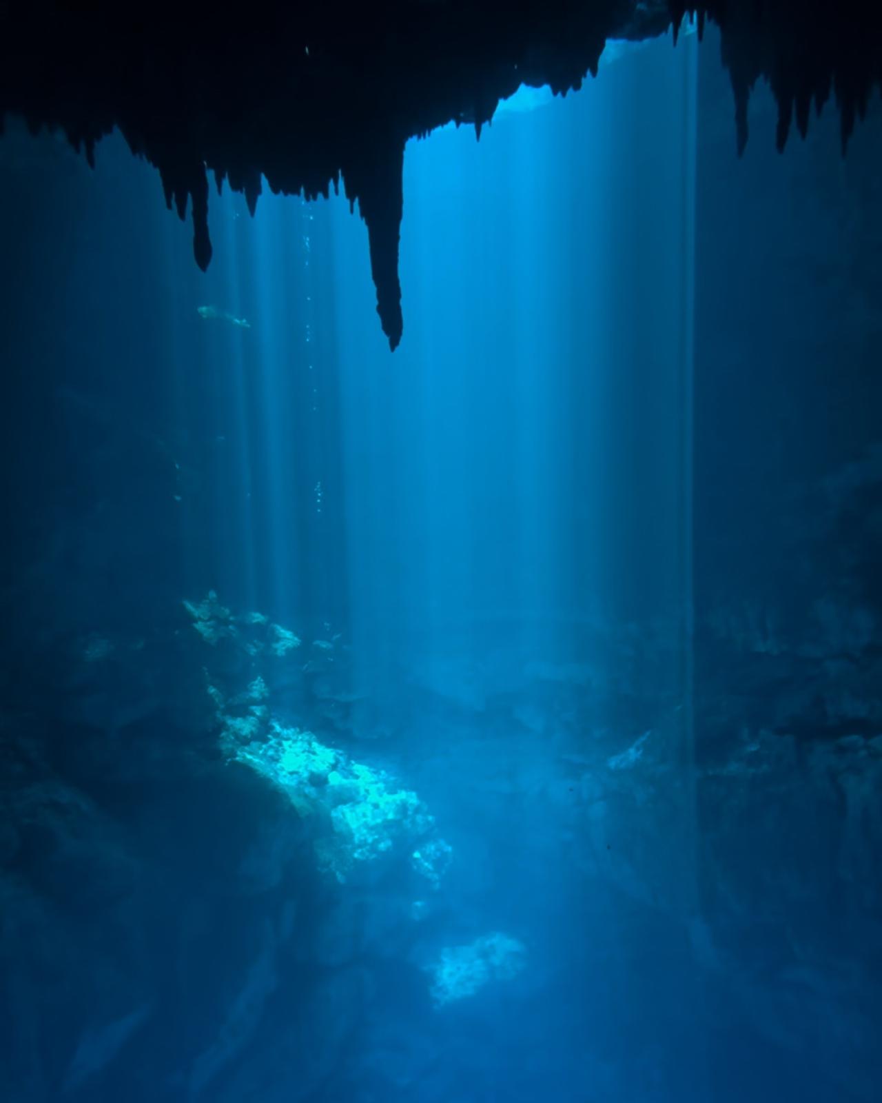 Cenote The Pit - Nic Te Ha