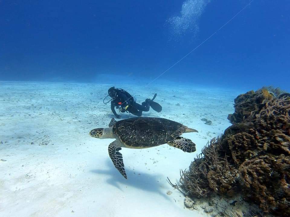 Cozumel: Discover Scuba Diving