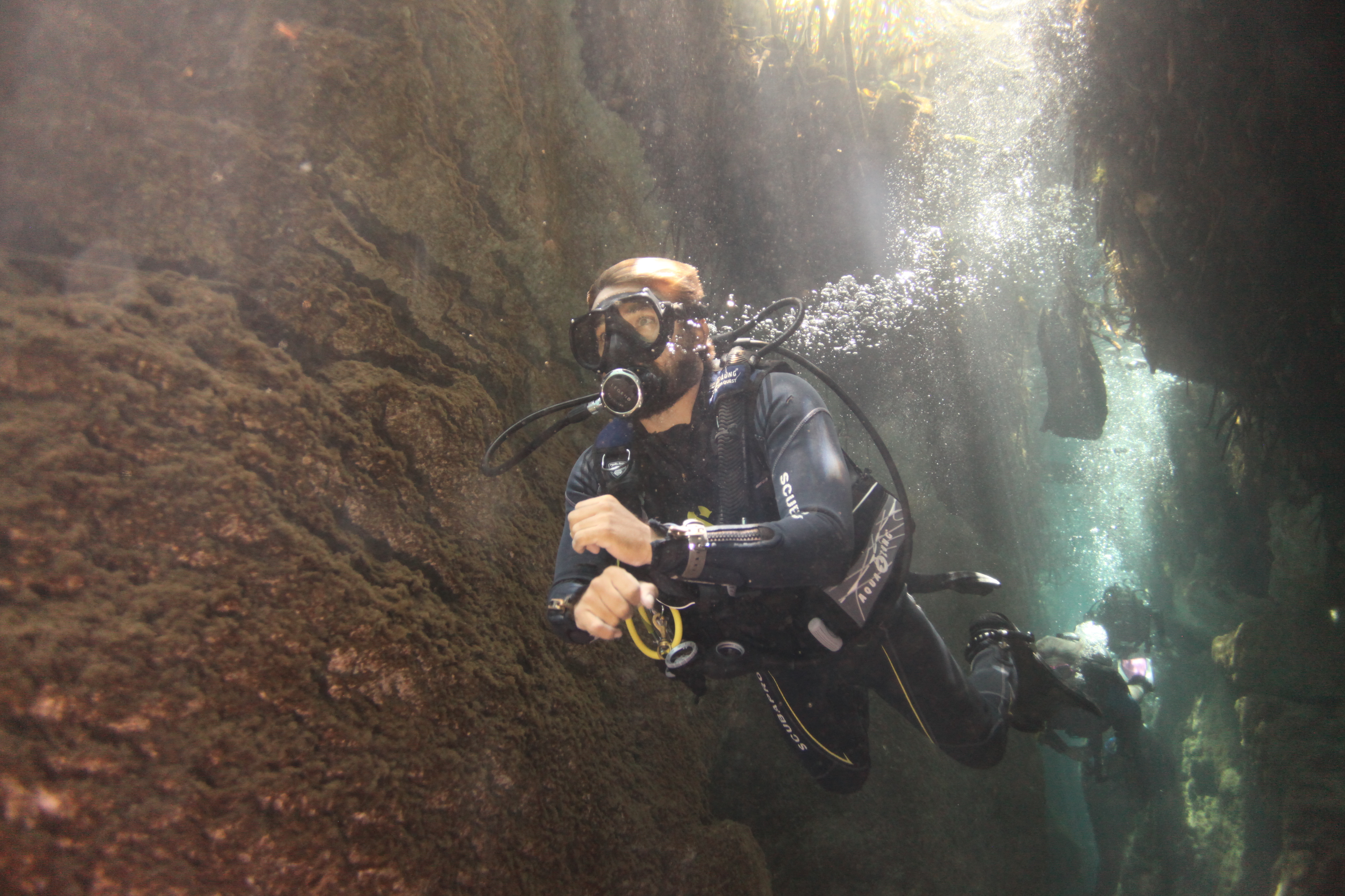 Cenote: Discover Scuba Diving