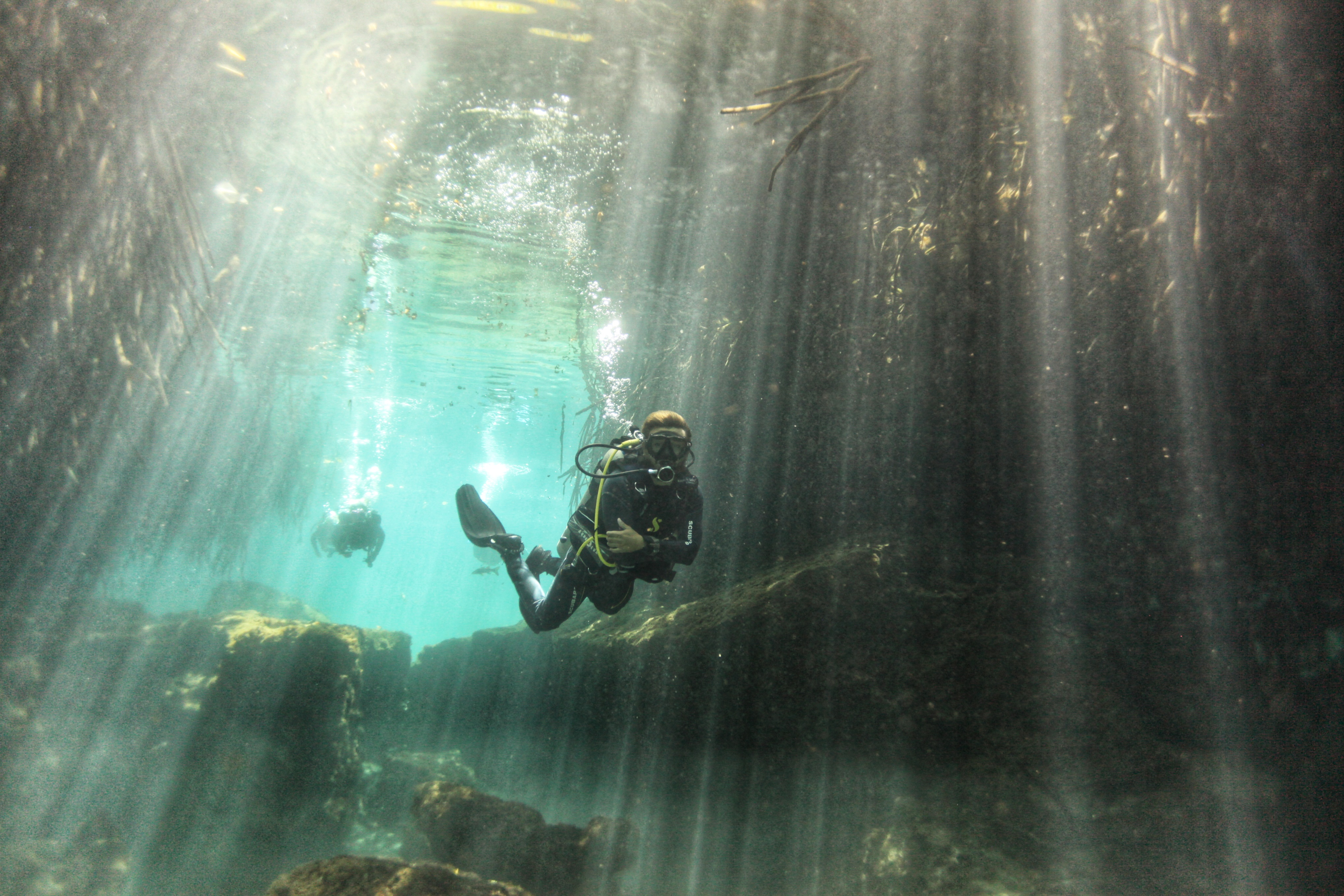 Cenote: Discover Scuba Diving