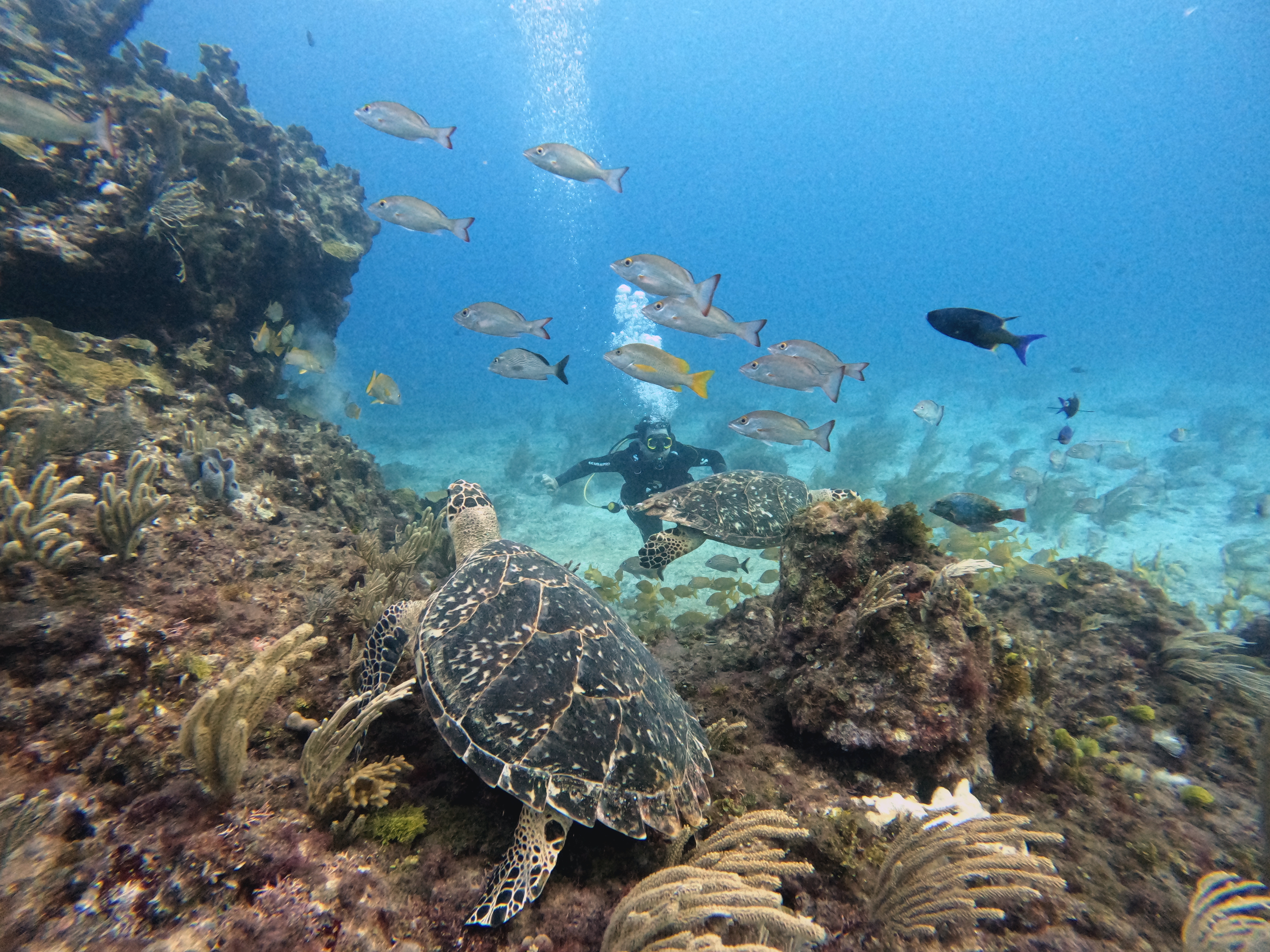 Cancún: Discover Scuba Diving