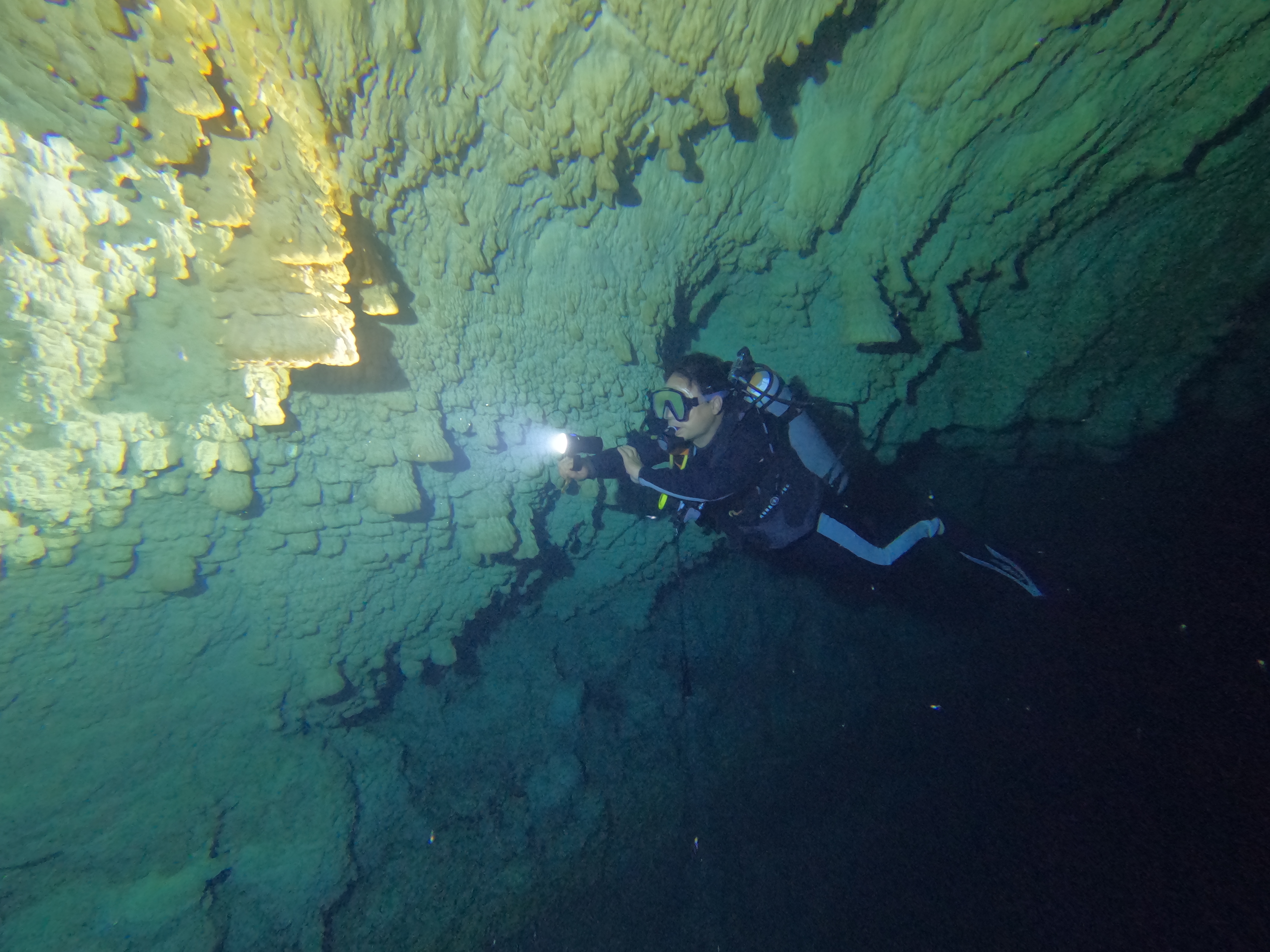 Cenote Kin Ha + Zapote