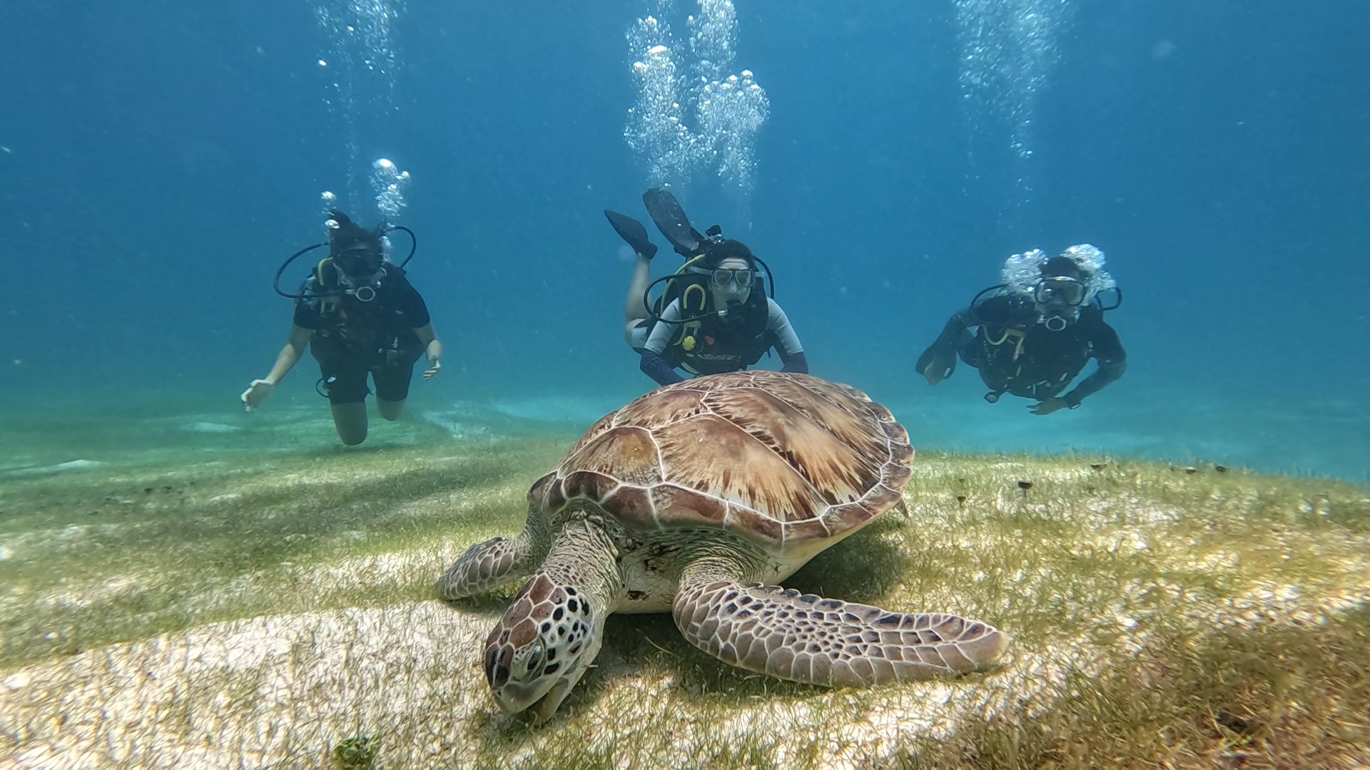Puerto Morelos: Discover Scuba Diving