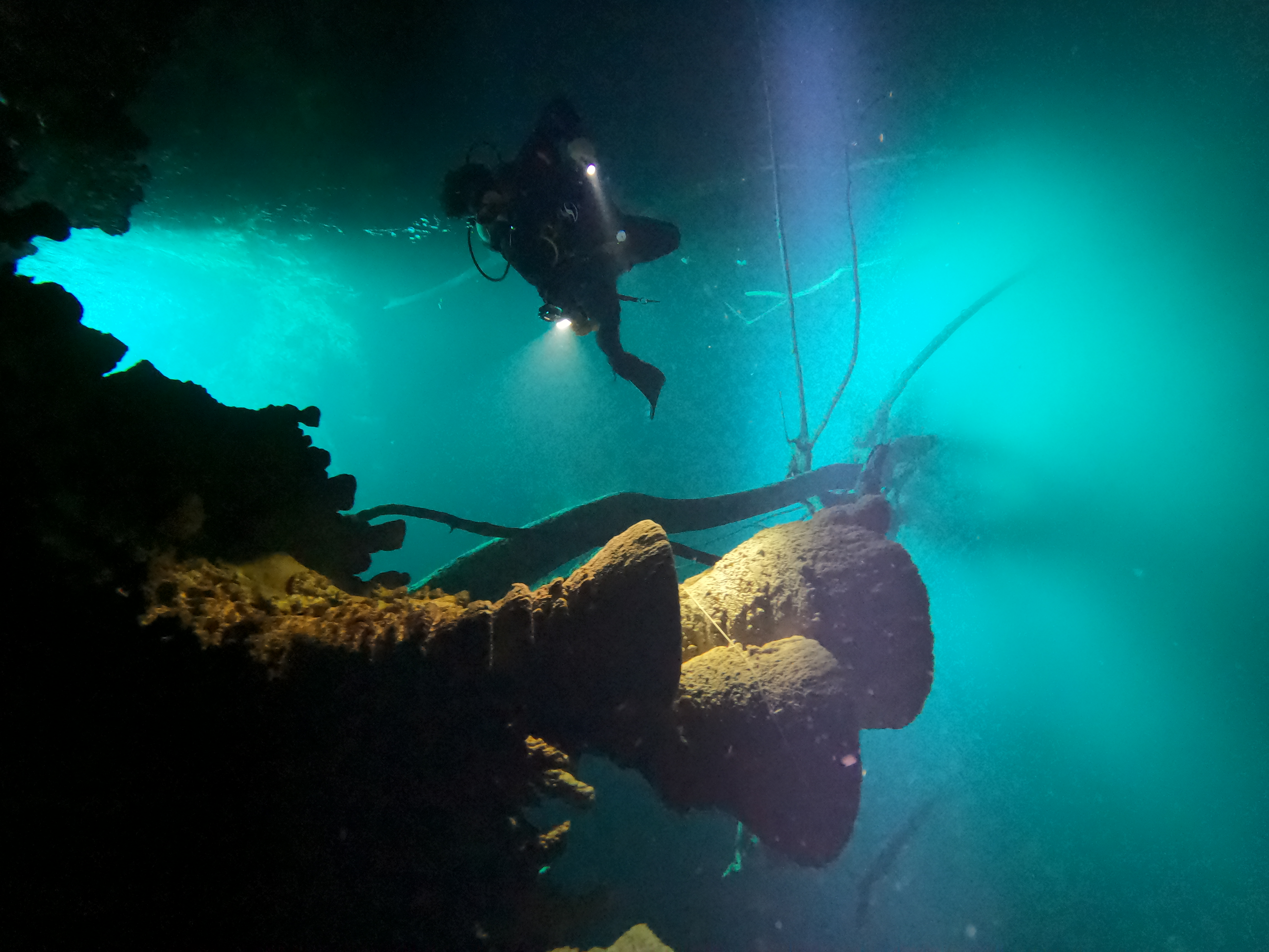 Cenote Azul Ha + Zapote