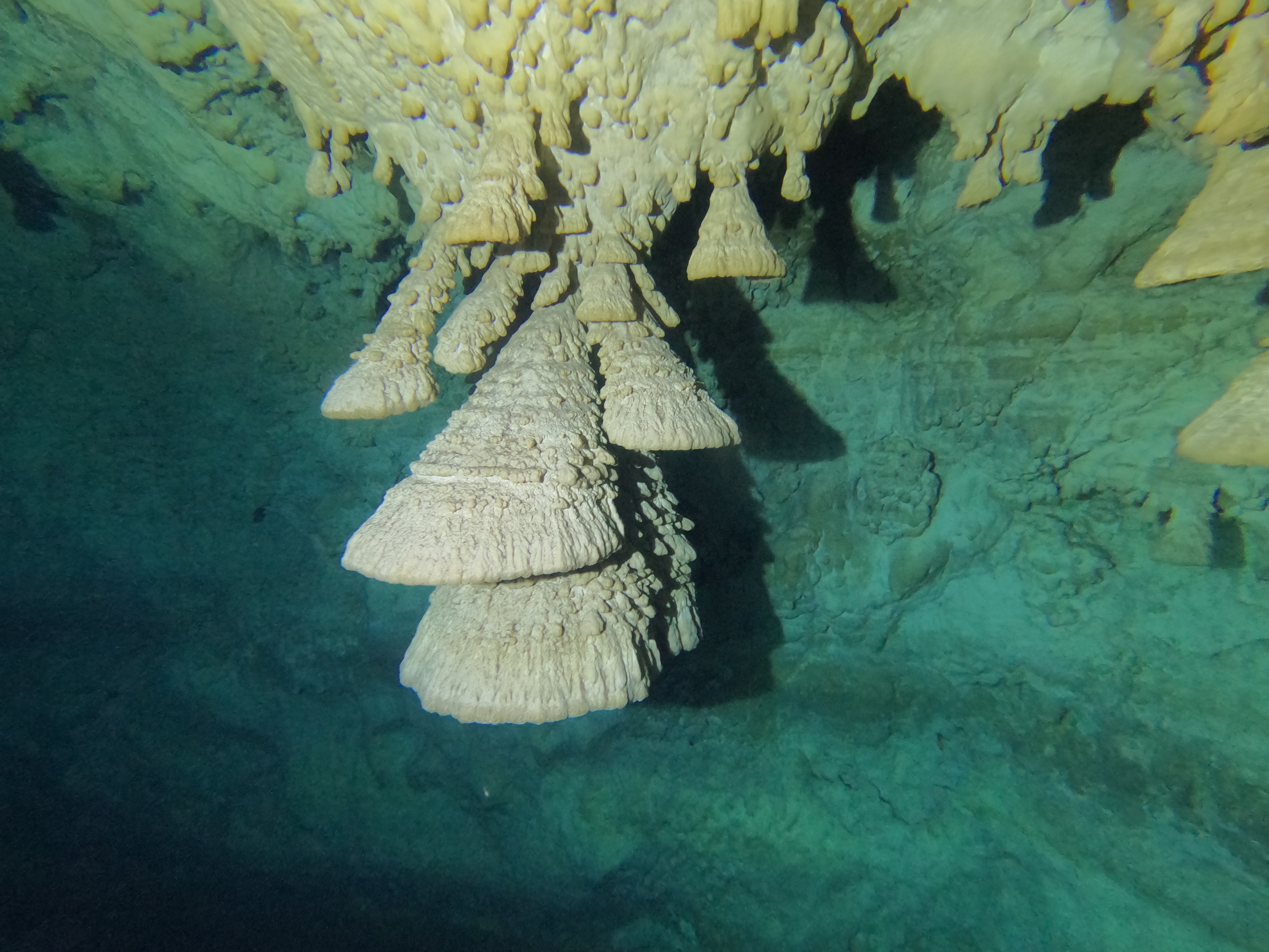 Cenote Kin Ha + Zapote