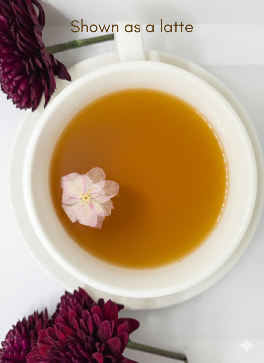 Midnight Truffle Dream 