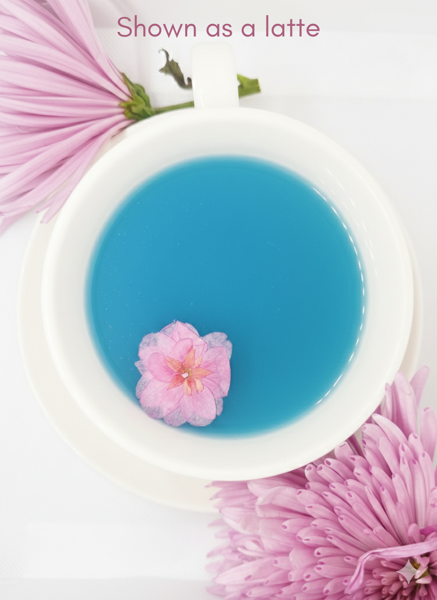 Vanilla Cupcake Dream 