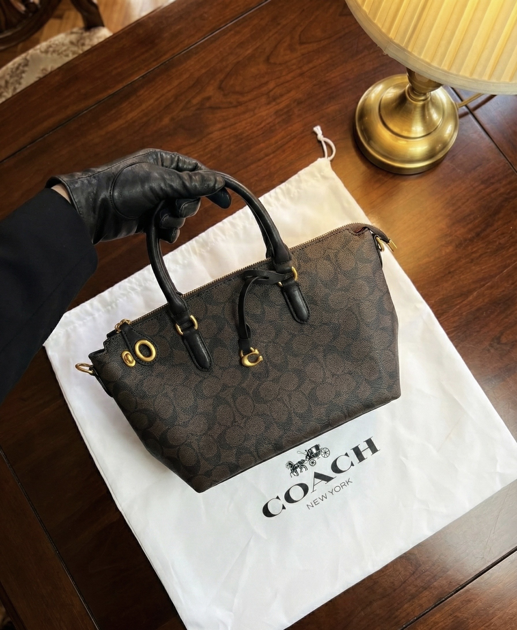 Coach Signature Tote Bag