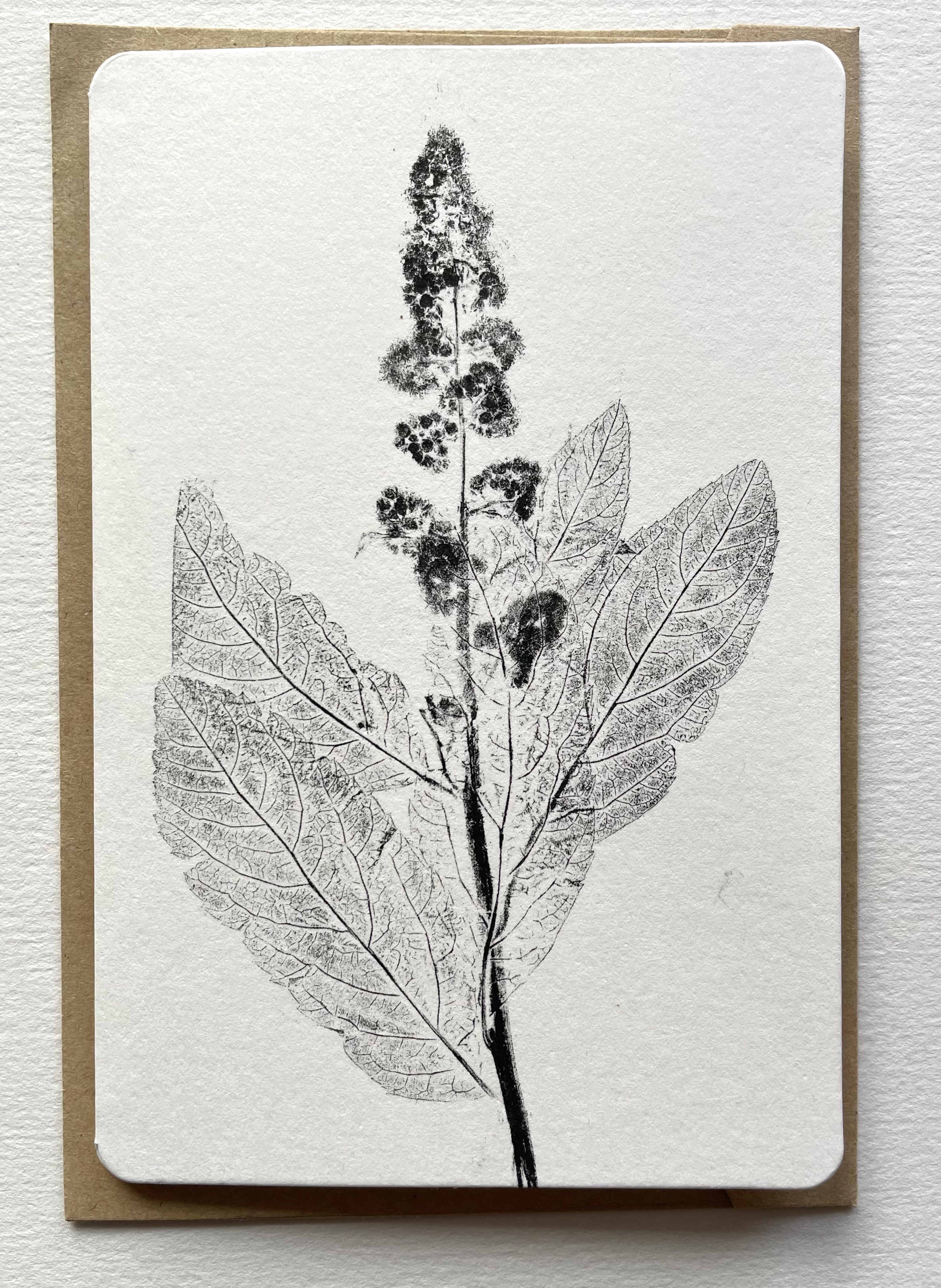 Monotype Wildflower printed card 