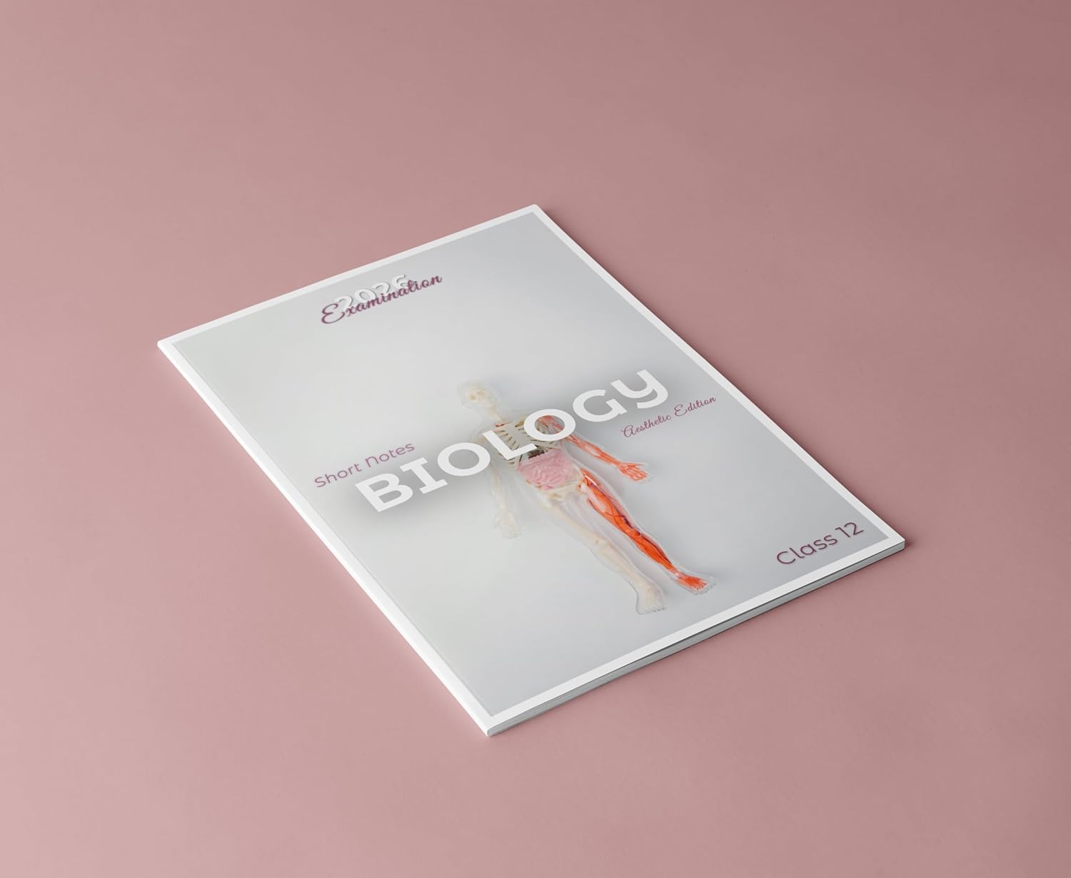 CBSE Class 12 Biology Short Recap Notes and Important Diagrams