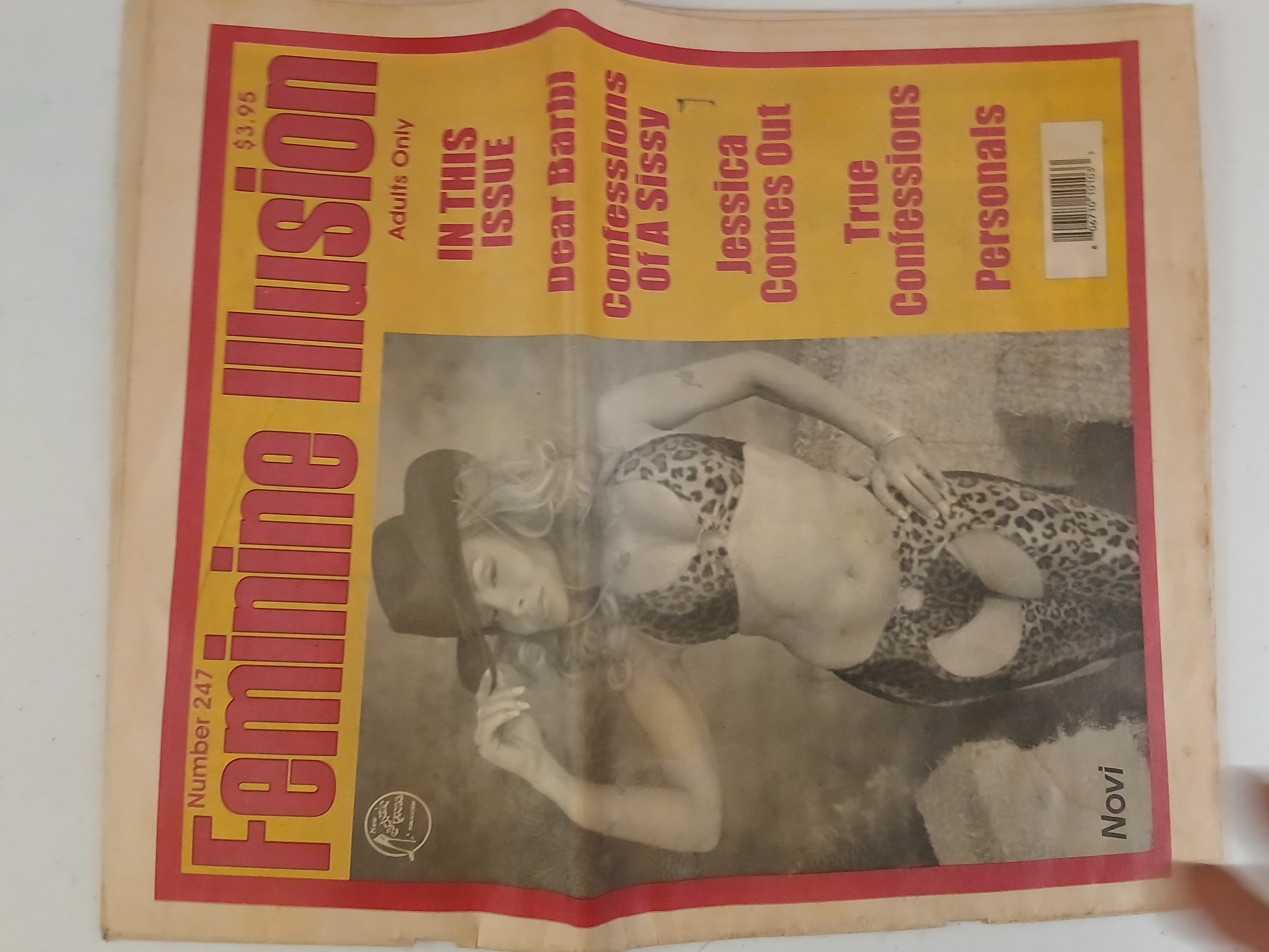 Feminine Illusion Magazine Issue #24