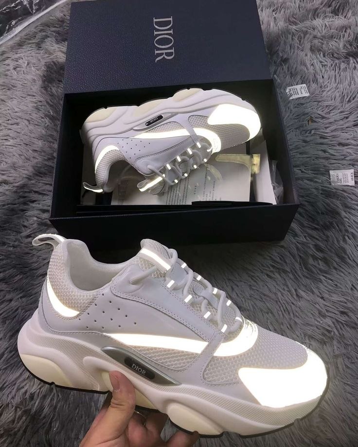Dior22 Reflective
