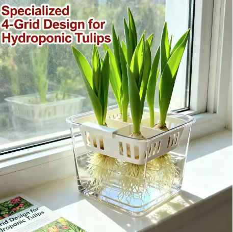 4-Grid Hydroponic Tulip Planter