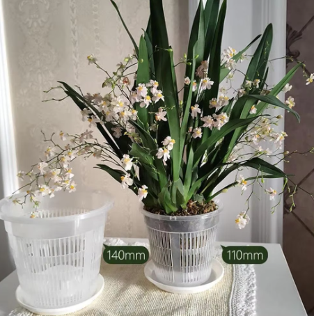 Orchid Plastic Pot Set