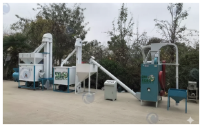 Maize Grit plant