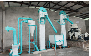 Fish feed plant