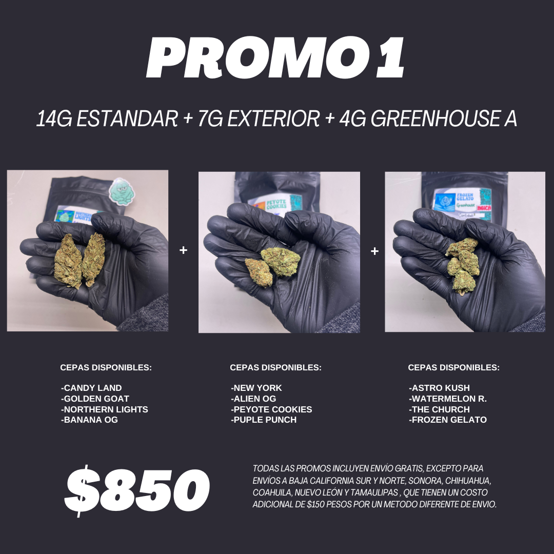 PROMO 1 ENERO