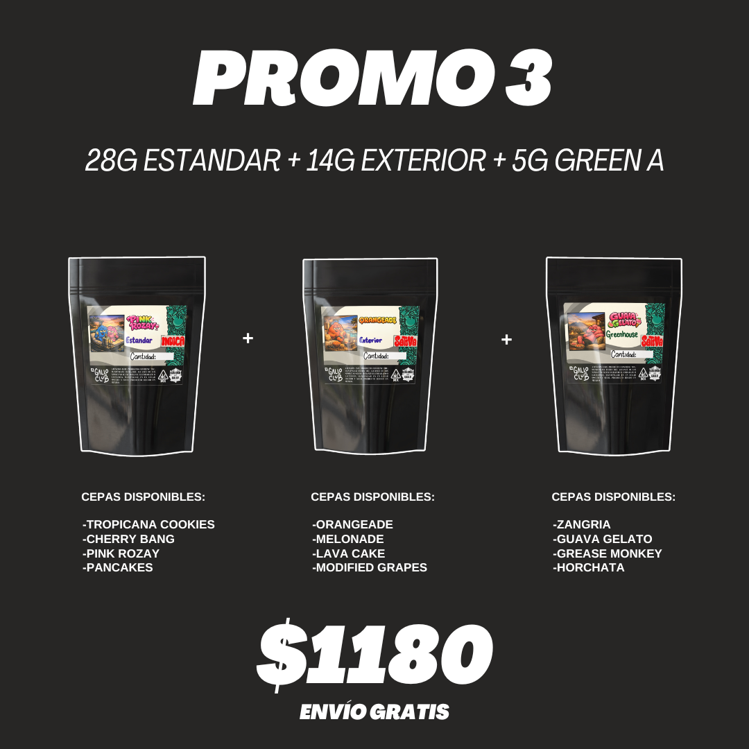 PROMO 3