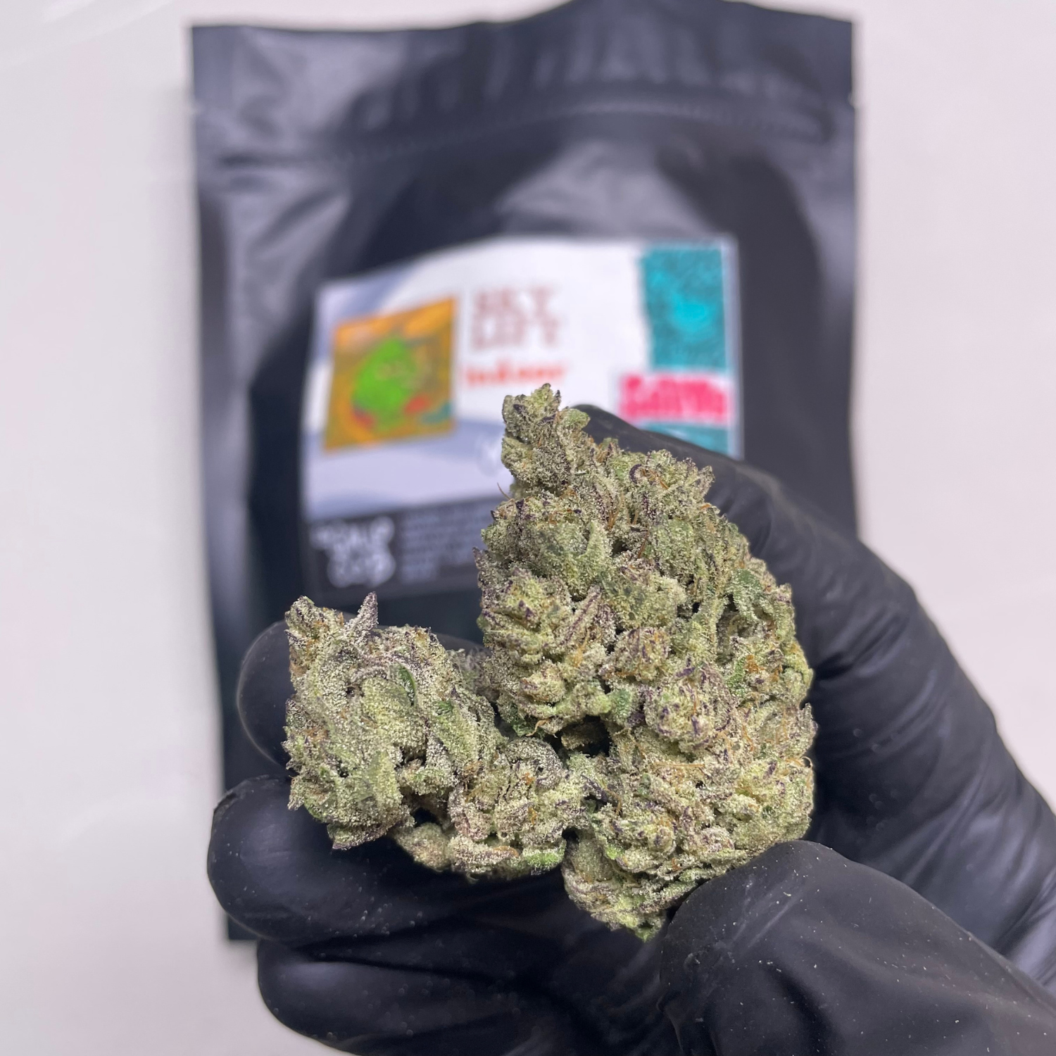 Sky Lift Indoor Hydro