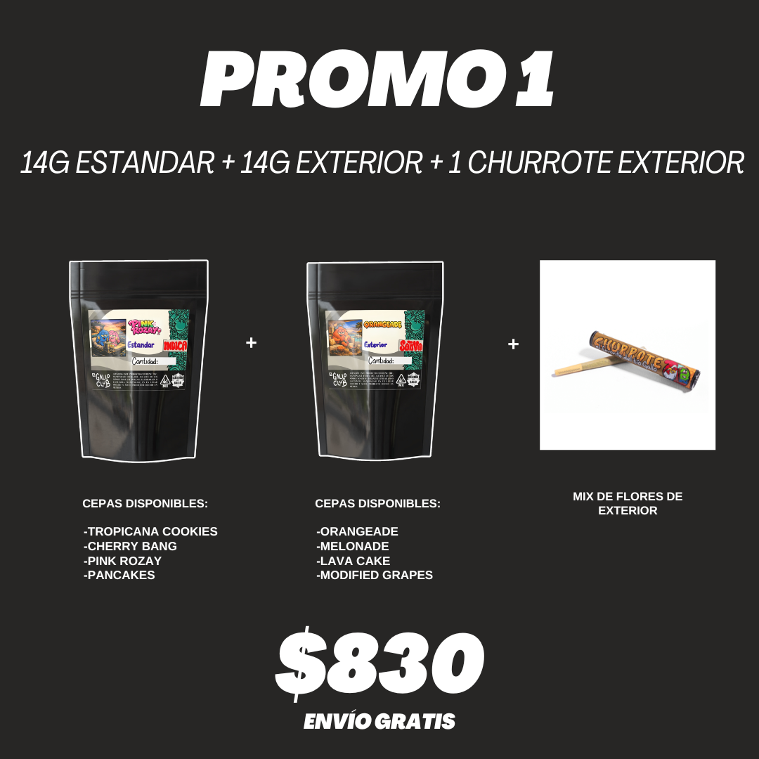 PROMO 1 