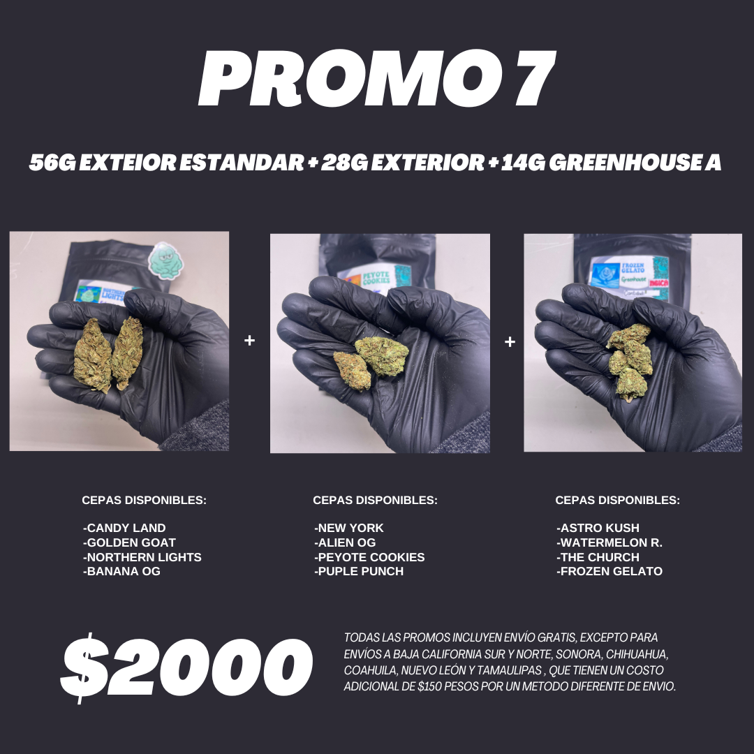 PROMO 7