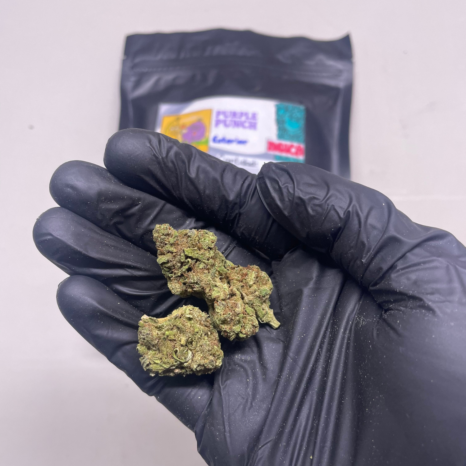 Purple Punch Exterior