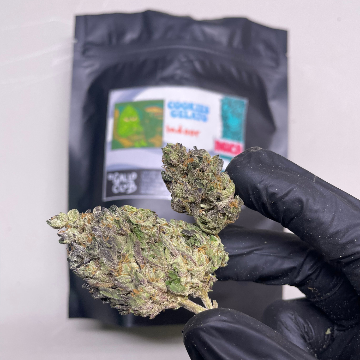 Cookies Gelato Indoor Hydro