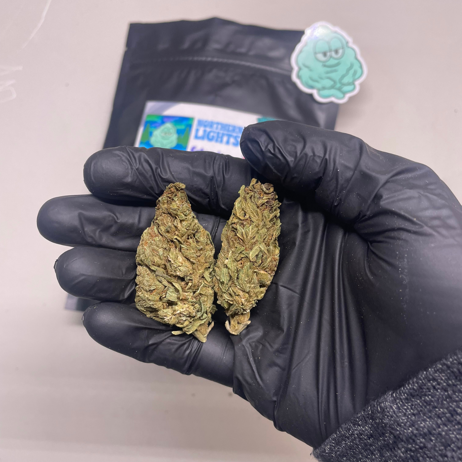 Northern Lights Estandar