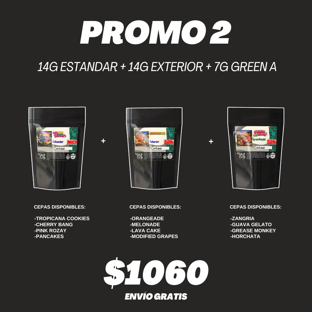 PROMO 2