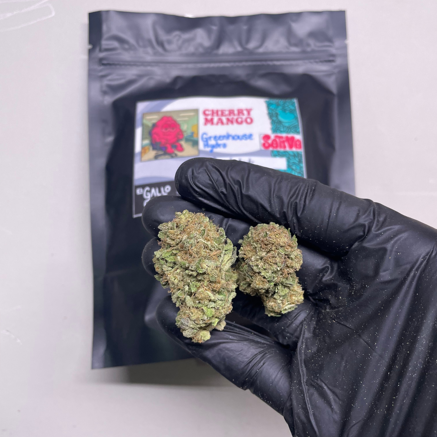 Cherry Mango Greenhouse Hydro