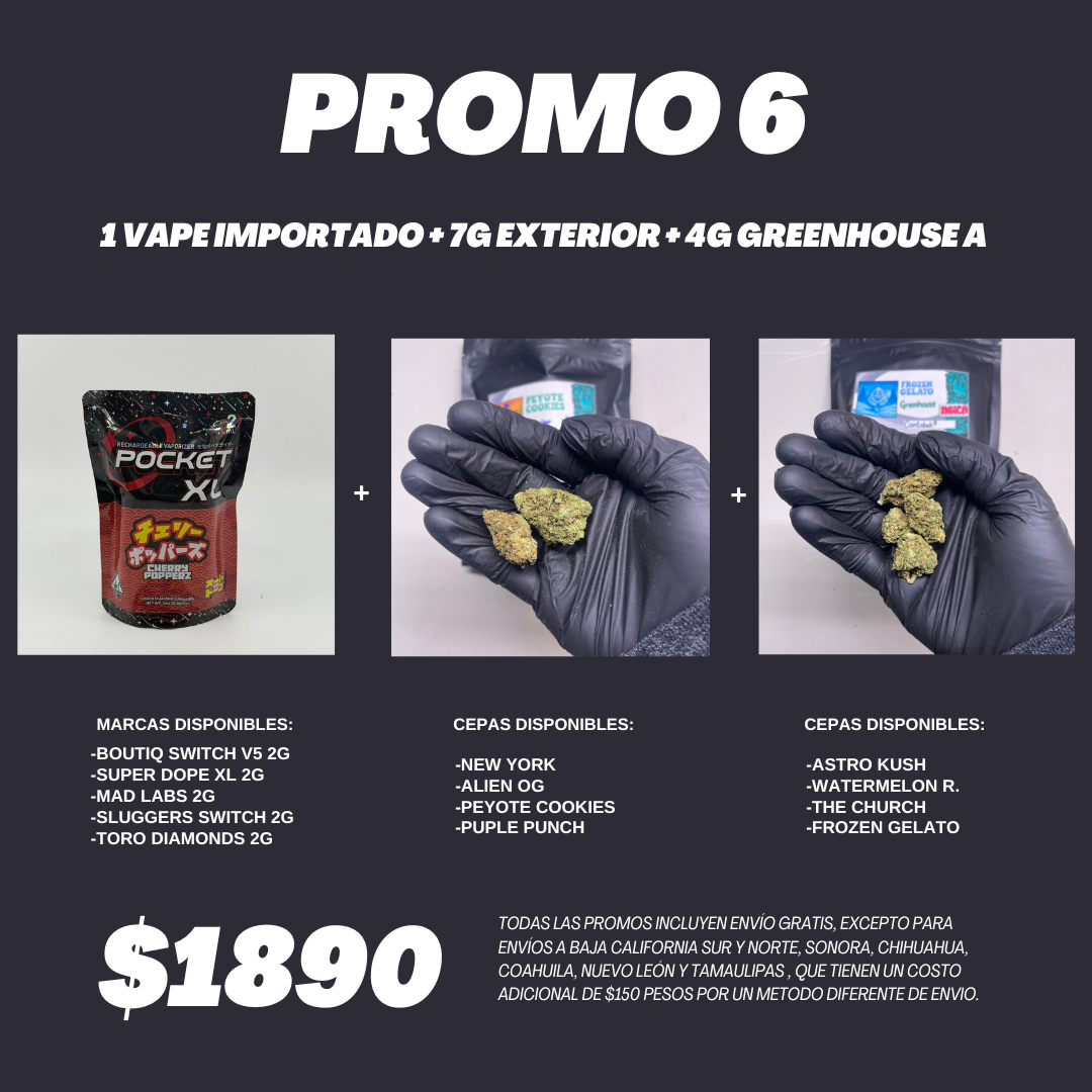 PROMO 6