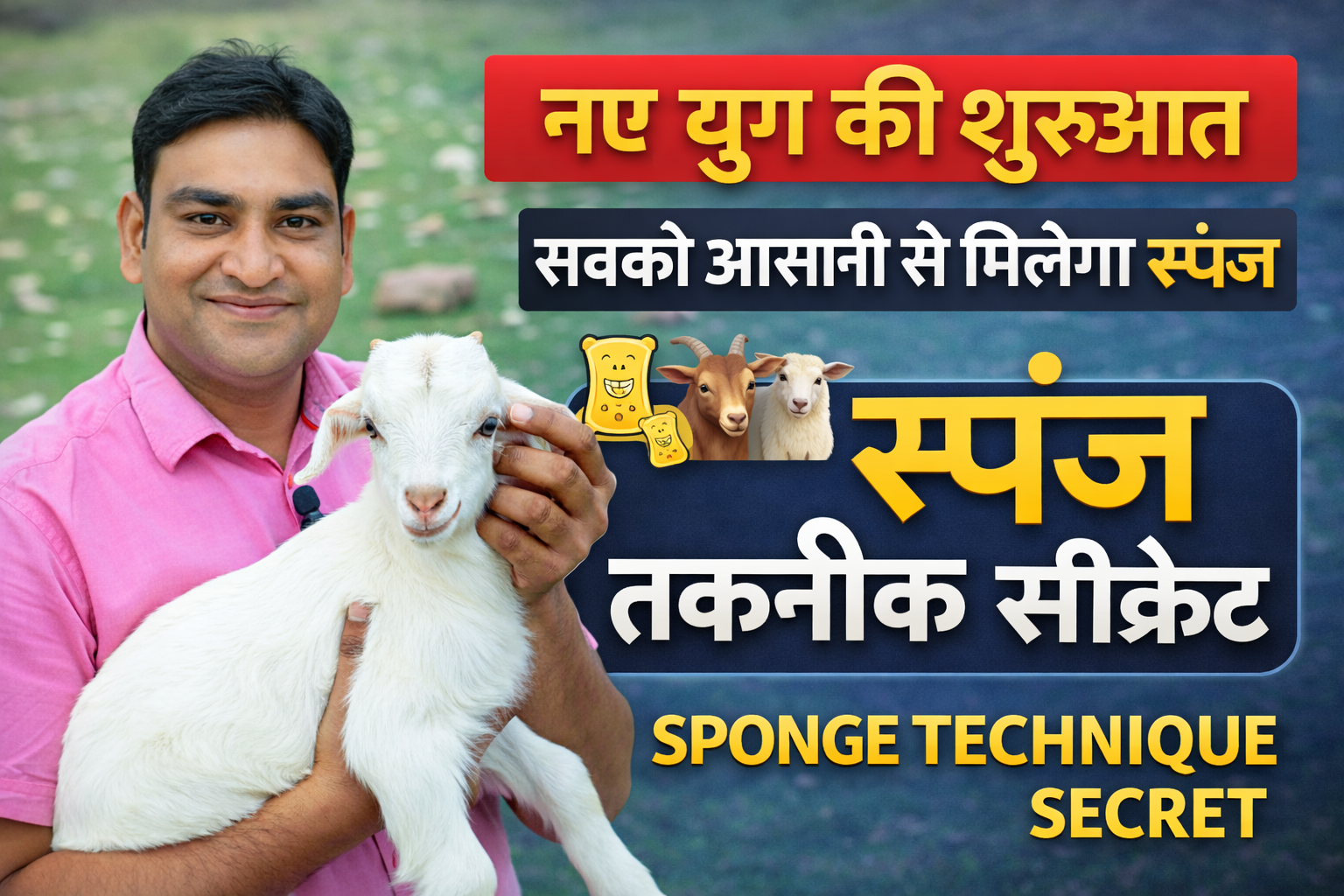 Goat & Sheep Breeding Sponge Kit
