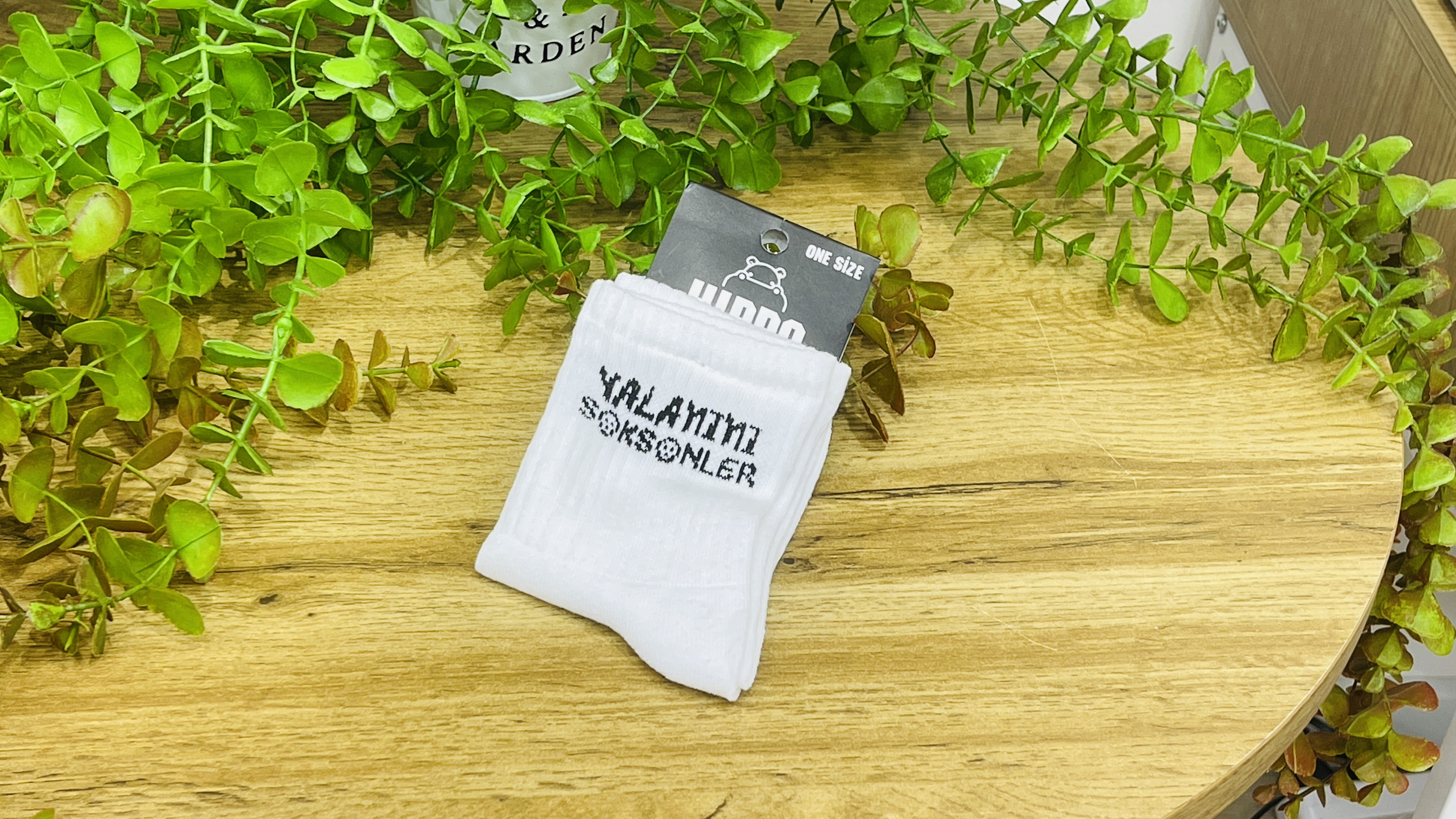 Kreativ Corab- Yalanına